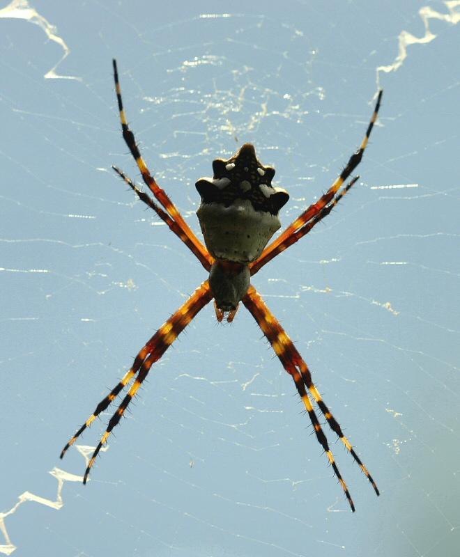 Fotky: Grenada (foto, obrazky)