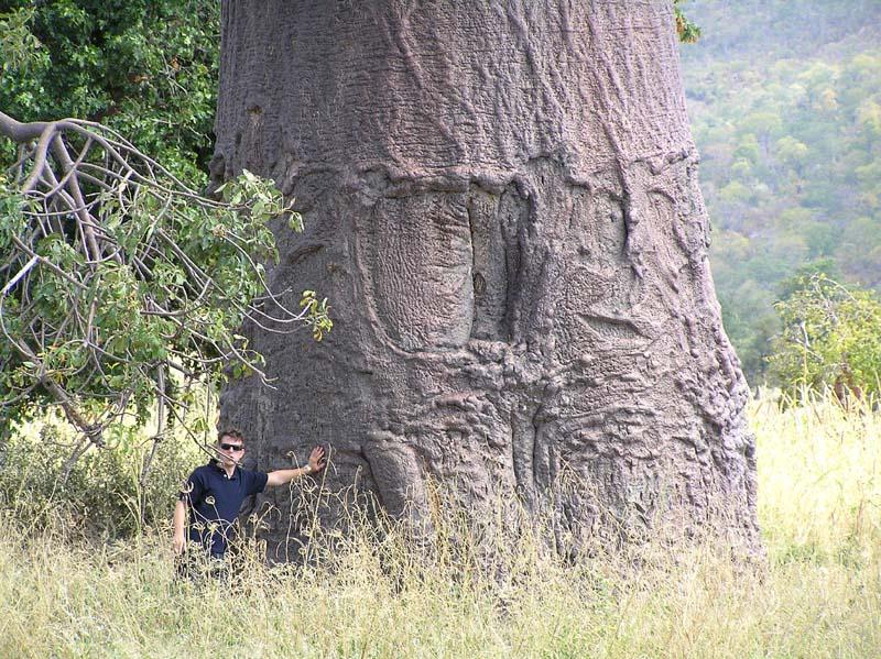 Fotky: Zimbabwe (foto, obrazky)