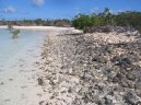 Fotky: Ostrovy Turks a Caicos (foto, obrazky)