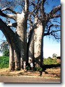 Chiradzulu Boma