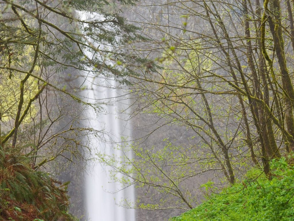 Foto: Latourell Falls, Columbia River Gorge, Oregon