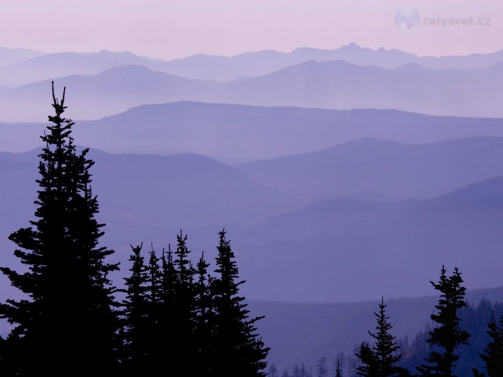 Foto: Layered Hills, Mount Rainier National Park, Washington