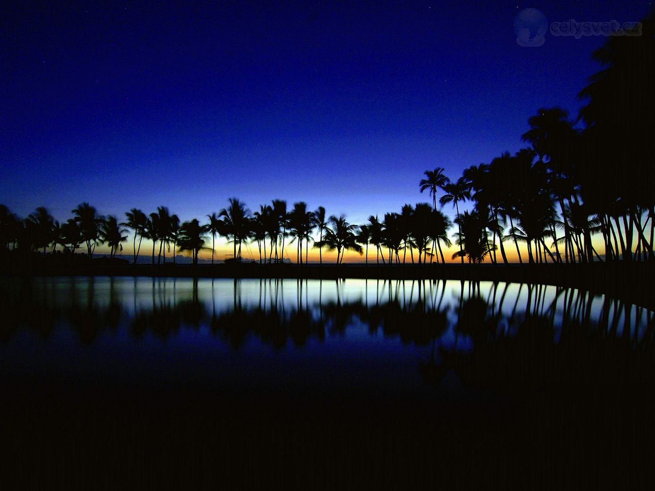 Foto: Palm Silhouette, Big Island, Hawaii