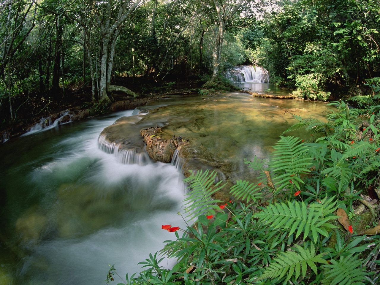 Foto: Mato Grosso, Betione, Serra De Bodoquena, Brazil