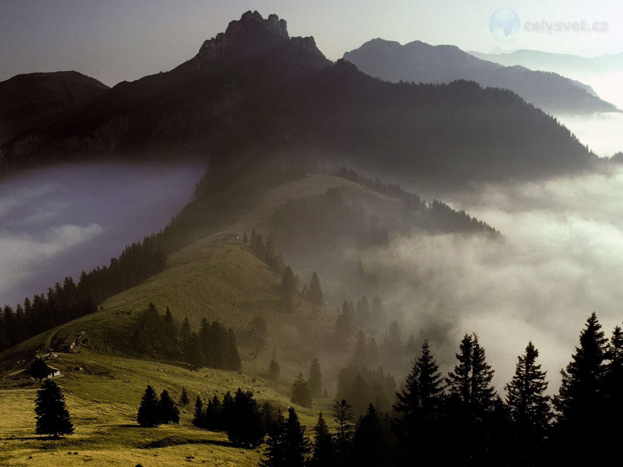 Foto: Alpine Pasture, Kampenwand Mountain, Chiemgau, Bavaria, Germany