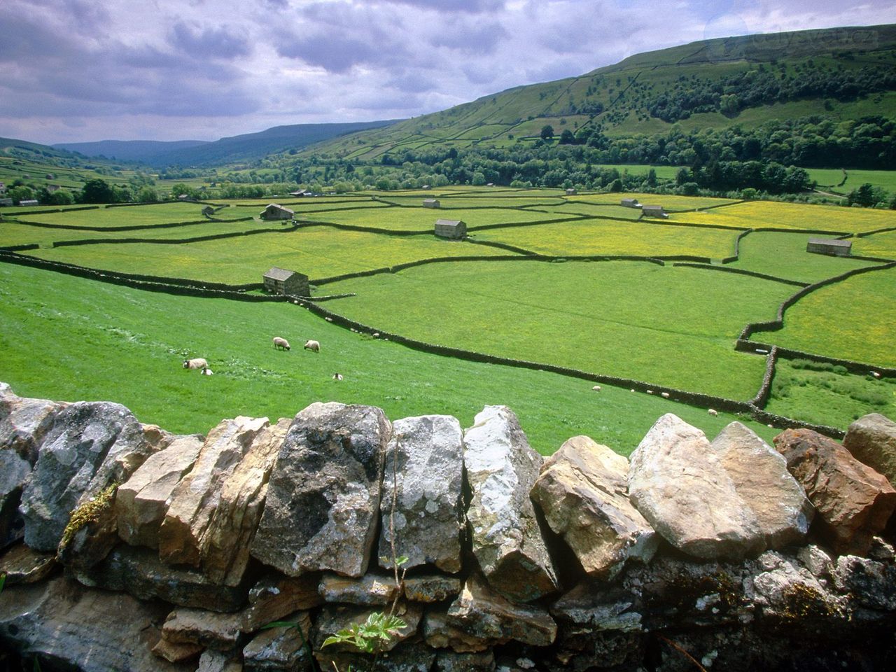 Foto: Muker, Swaledale Valley, Yorkshire, England