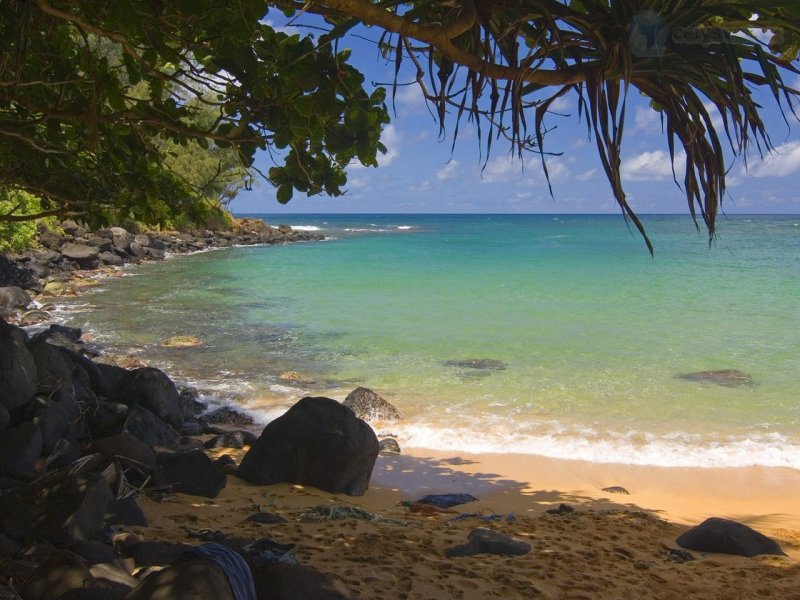 Foto: In The Shade, Moloaa, Kauai