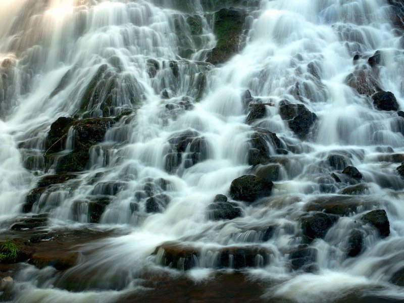 Foto: Secluded Falls, Kauai, Hawaii