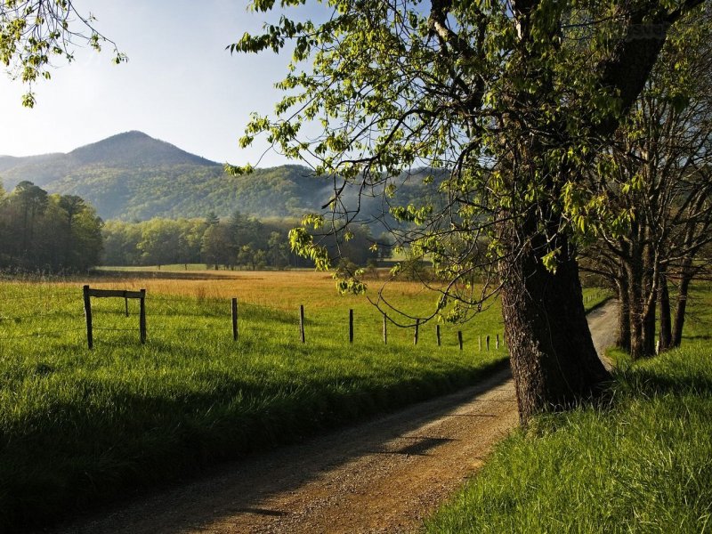 Foto: Hyatt Lane In Spring, Great Smoky Mountains, Tennessee