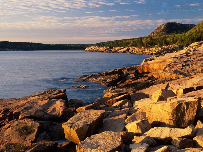 Foto: First Light, Near Otter Cliffs, Acadia National Park, Maine