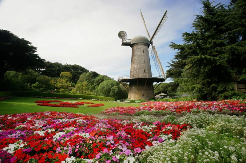 Foto: North Dutch Windmill And Queen Wilhelmina Tulip Gardens, Golden Gate Park, San Francisco, California