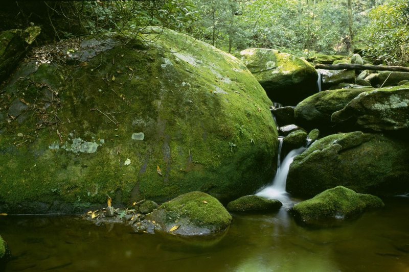 Foto: Mossy Boulder, Roaring Fork, Great Smoky Mountains National Park, Tennessee