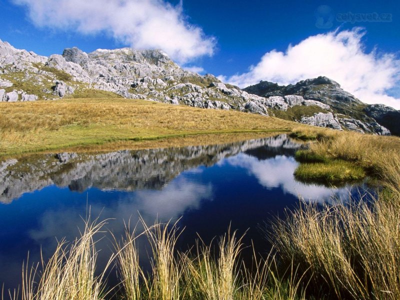 Foto: Mount Owen, Kahurangi National Park, New Zealand