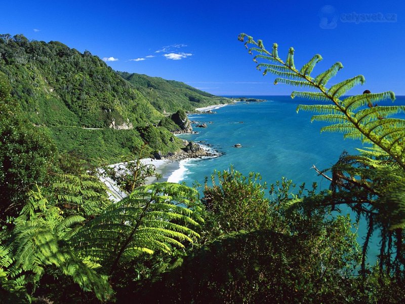 Foto: Paparoa National Park, South Island, New Zealand