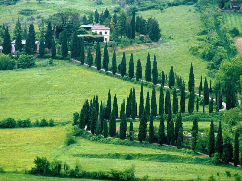 Foto: Scenery Near Orvieto, Umbria, Italy