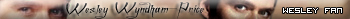 Více userbarů ke stažení